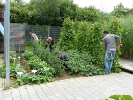 Arbeit im Hochschulgarten