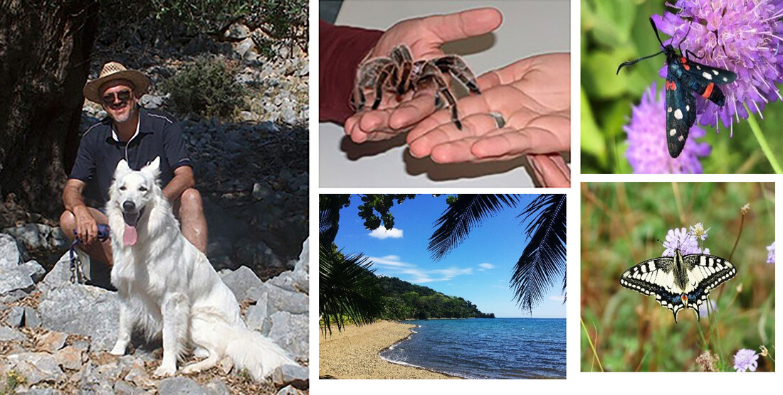 Fünf Fotots darauf zu sehen, Thomas Schuller mit großem weißen Hund. Eine Vogelspinne die von einer Hand auf eine andere Hand klettert. Ein Ausblick zum Strand. Zwei verschiedene Schmetterlinge Fünf Fotots darauf zu sehen, Thomas Schuller mit großem weißen Hund. Eine Vogelspinne die von einer Hand auf eine andere Hand klettert. Ein Ausblick zum Strand. Zwei verschiedene Schmetterlinge