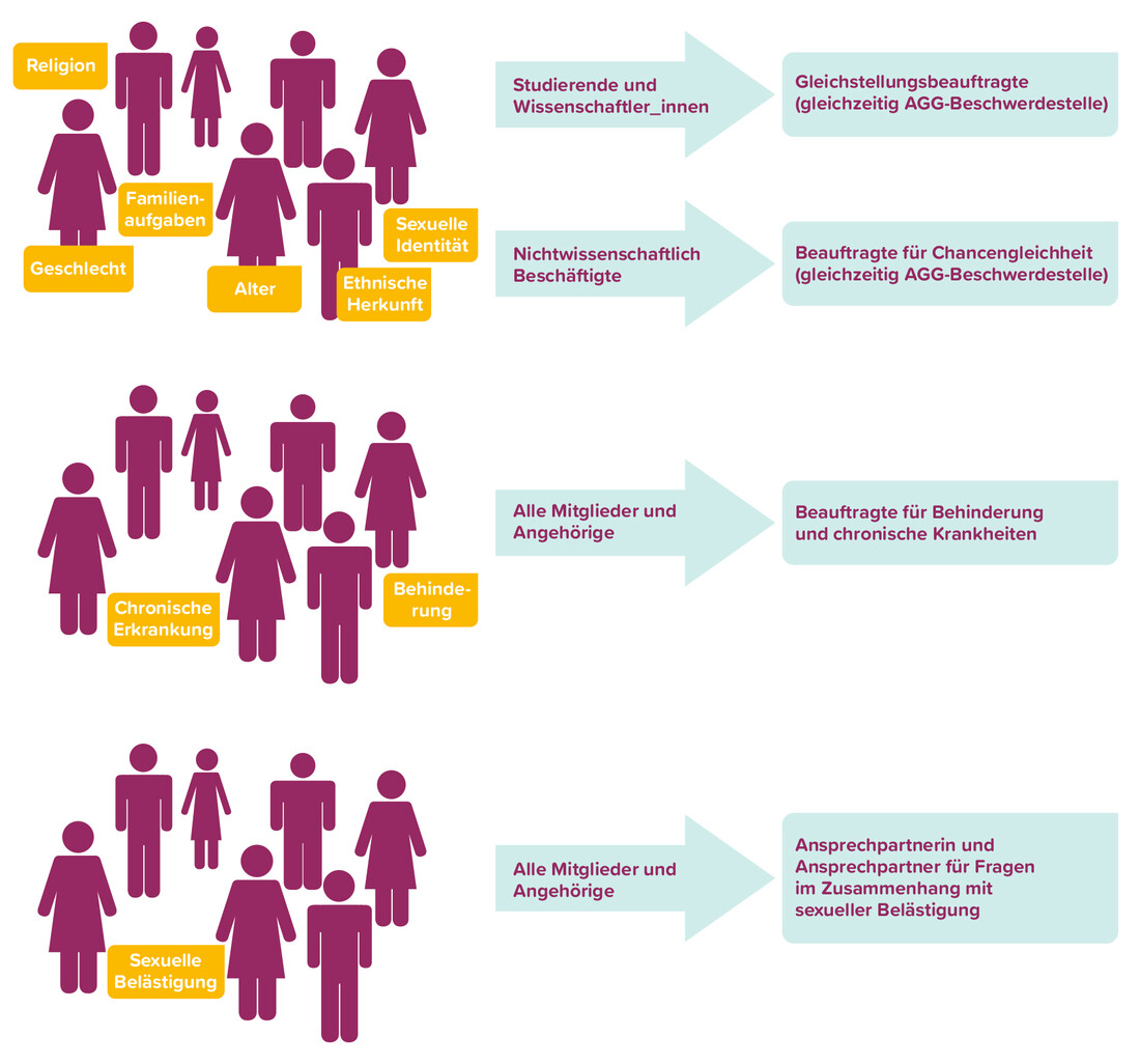 Organigramm der Diskriminierungsbeauftragten Organigramm der Diskriminierungsbeauftragten